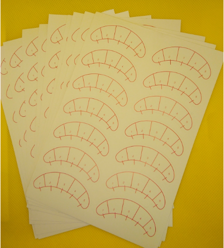 Beauty Eyelash Sticker